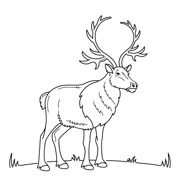 Kostenlose Vektor handgezeichnete rentier-umriss-illustration