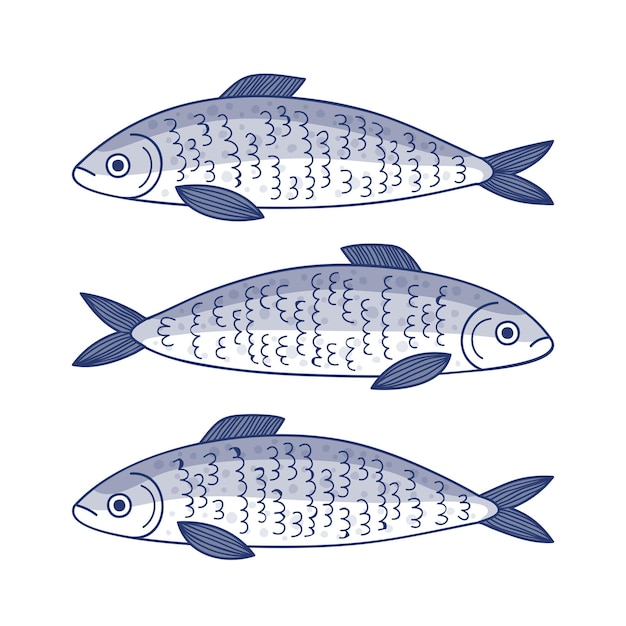 Kostenloser Vektor handgezeichnete sardinenillustration