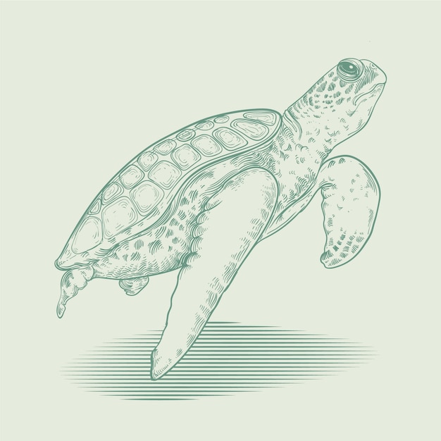 Kostenloser Vektor handgezeichnete schildkröten-umrissillustration