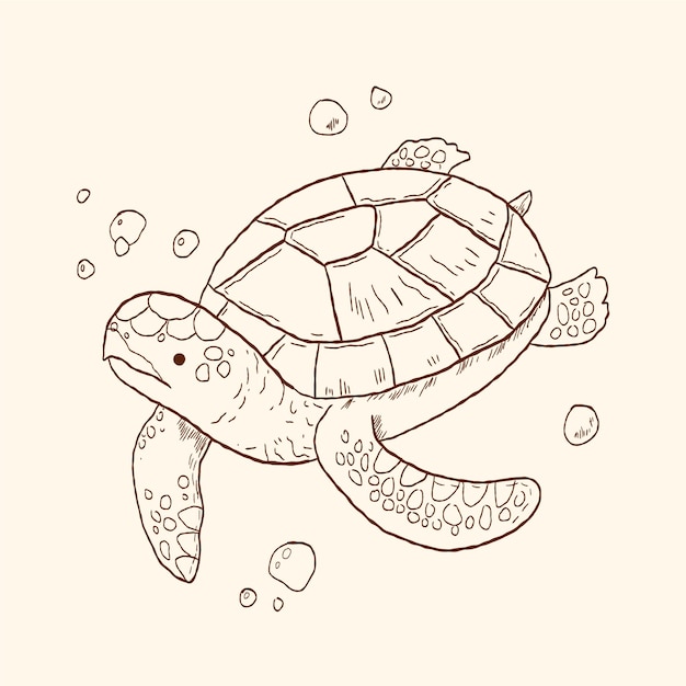 Handgezeichnete Schildkröten-Umrissillustration