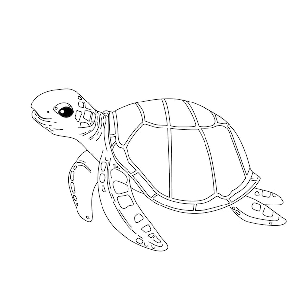 Kostenloser Vektor handgezeichnete schildkröten-umrissillustration