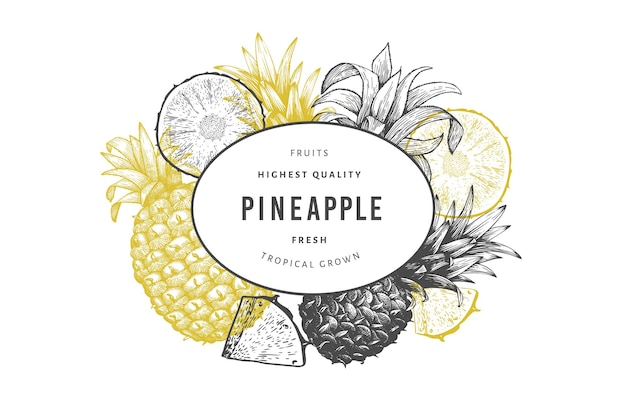 Handgezeichnete skizze stil ananas-banner. organische frische fruchtvektorillustration. botanische designvorlage im gravierten stil.