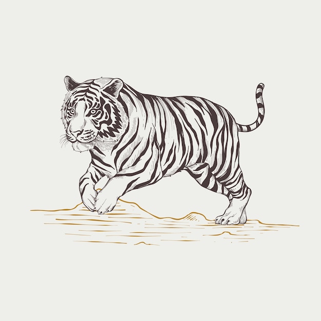 Kostenloser Vektor handgezeichnete tiger-umrissillustration