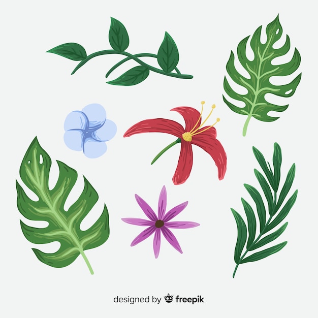 Handgezeichnete tropische Blumen und Blätter