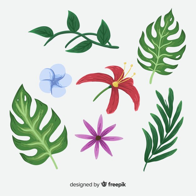 Handgezeichnete tropische Blumen und Blätter