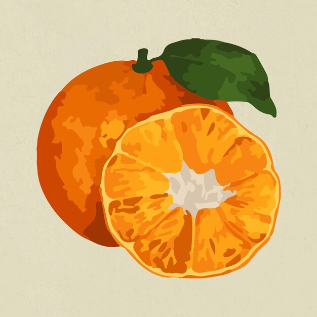 Handgezeichnete vektorisierte Mandarine-Orange-Aufkleber-Design-Ressource