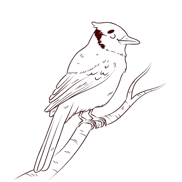 Handgezeichnete Vogel-Umriss-Abbildung