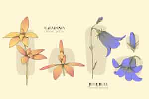 Kostenloser Vektor handgezeichneter botanischer blumenkartensatz