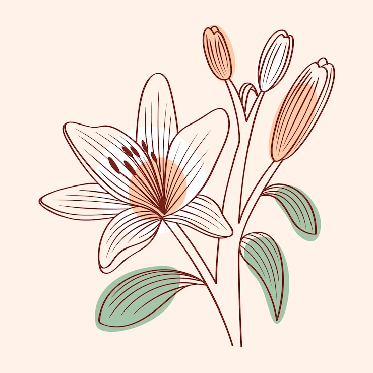 Kostenlose Vektor handgezeichneter einfacher blumenumriss