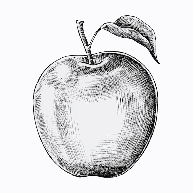 Handgezeichneter frischer Apfelvektor