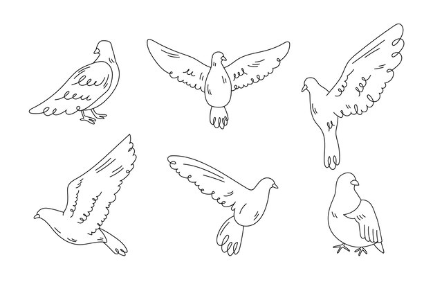 Handgezeichneter Vogelumriss