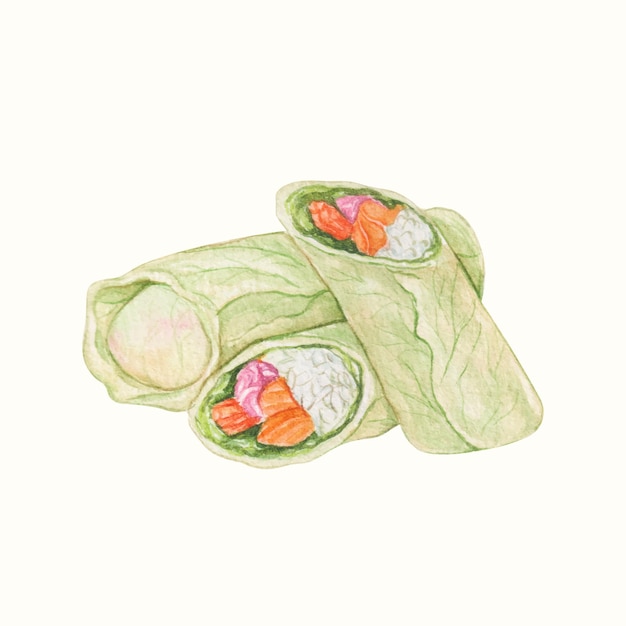 Kostenloser Vektor handgezeichnetes aquarell asianfood kohlroulade