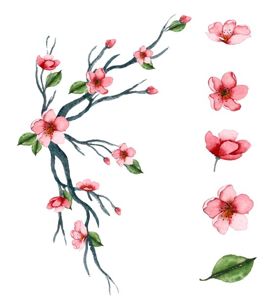 Handgezeichnetes Aquarell Blumenkunst-Set