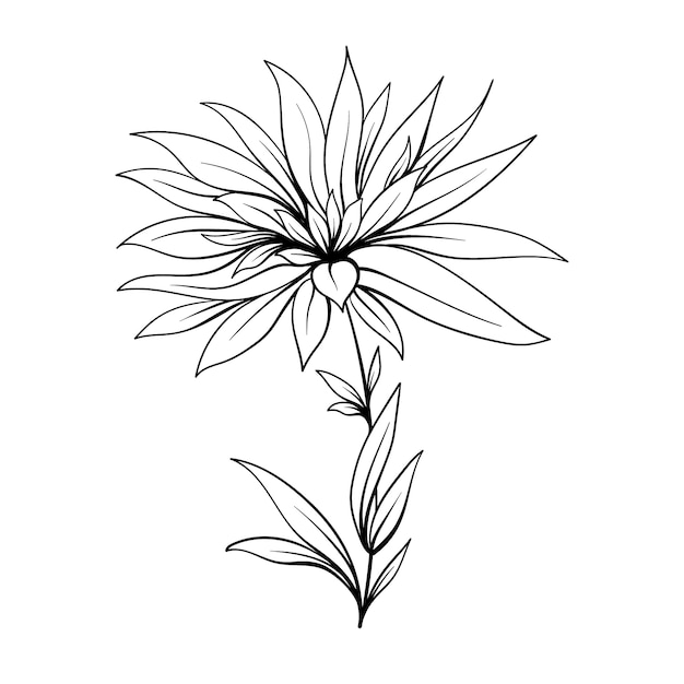 Handgezeichnetes flaches Design einfacher Blumenumriss