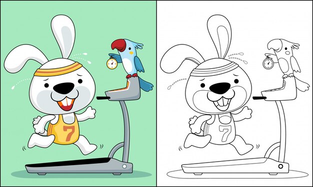 Hase Laufen Auf Laufband Cartoon Mit Einem Kleinen Vogel Premium Vektor