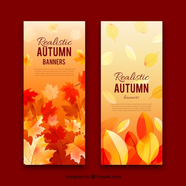 Herbst banner mit blättern