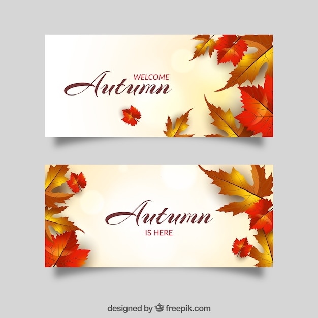 Herbst banner mit bunten blättern