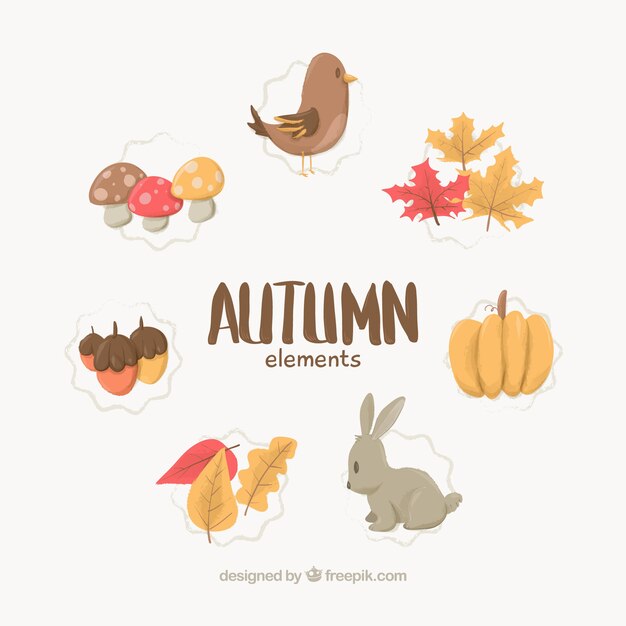 Herbst Elemente Design