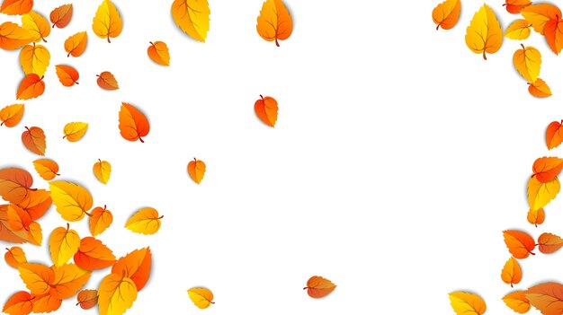 Herbst goldenes Blatt Rahmenvorlage Baum gefallene Blätter im Herbst isoliert auf weißem Oktoberlaub Vektor