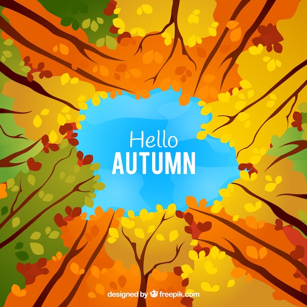 Herbst Hintergrund mit Wald Design