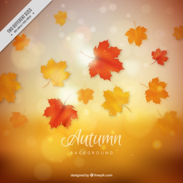 Herbstliche Hintergrund mit Bokeh-Effekt