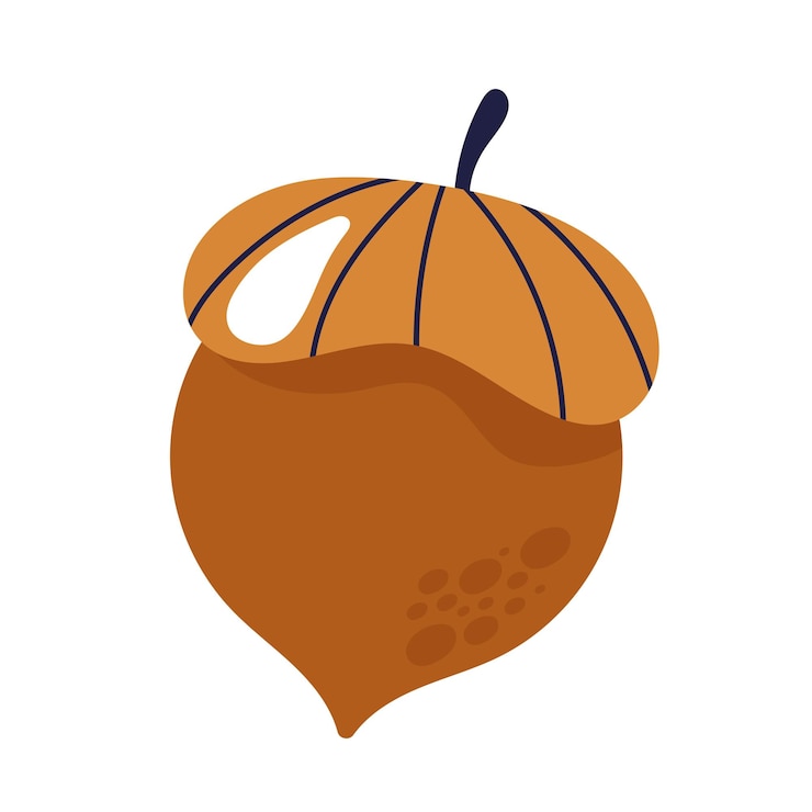 Kostenlose Vektor herbstnatur eichel