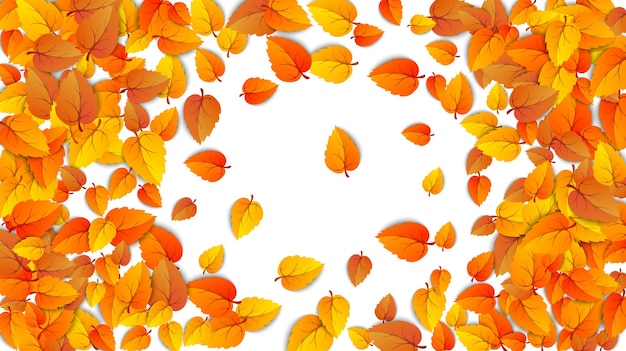 Herbstrunde Werbebanner mit Blättern für den Herbstverkauf Präsentationen Rahmenlayout Blatt Vektor
