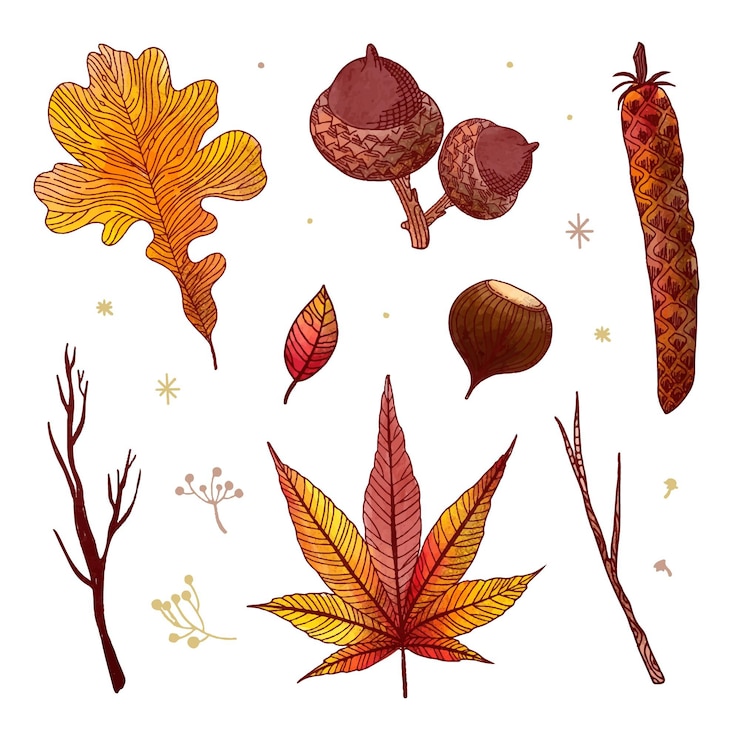 Kostenlose Vektor herbstwaldblätter zeichnen