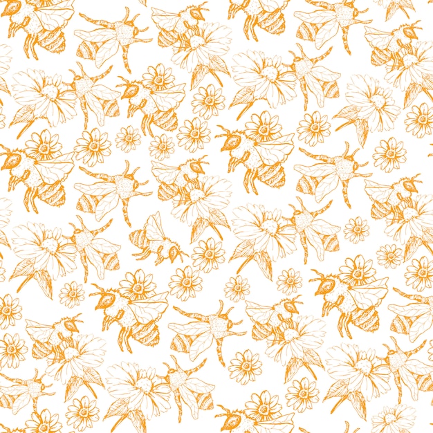 Honey Bee Seamless Pattern, Skizzen-Illustration mit Biene hives in Vintage-Stil