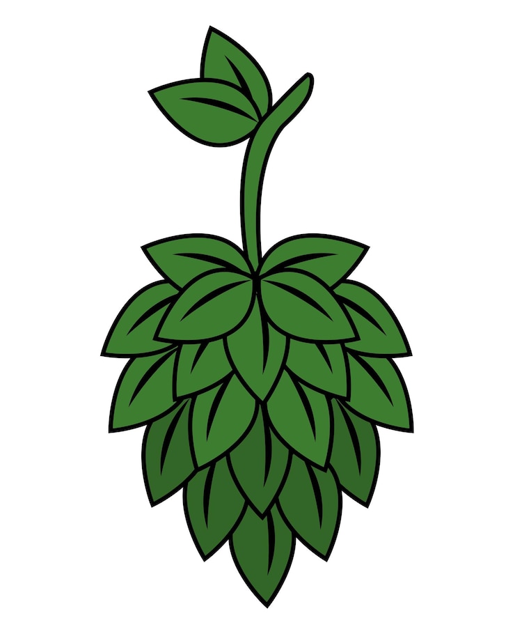 Kostenlose Vektor hopfenpflanze-symbol, isolierter vektor