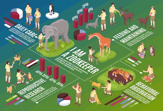 Kostenloser Vektor horizontale flussdiagrammzusammensetzung der isometrischen zooarbeiter mit infografischem symboltext und den bildern der vektor-illustration von menschen und tieren