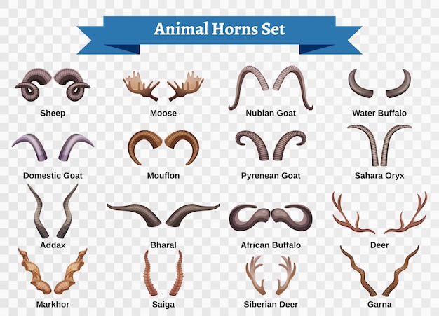 Kostenloser Vektor horizontaler transparenter satz der hörner mit isolierten bildern des gekritzelstils von tiermorgen mit bearbeitbarer textunterschriftenillustration
