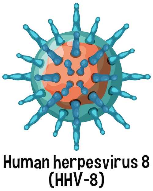 Kostenloser Vektor humanes herpesvirus 8 hhv 8 mit text