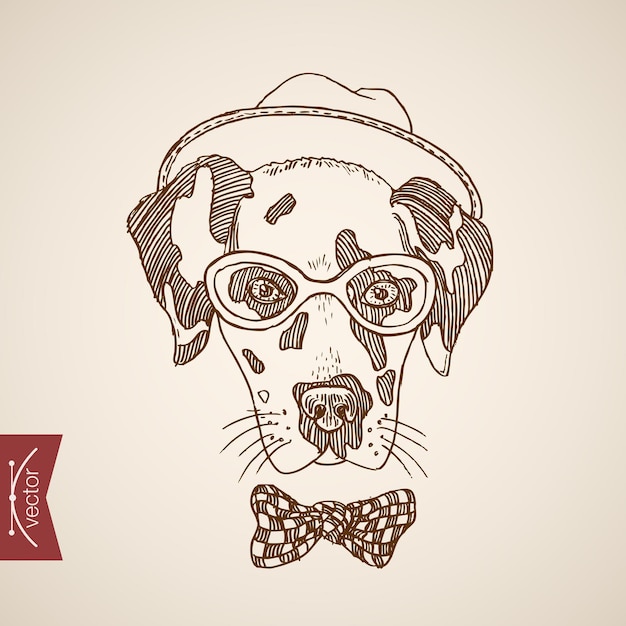 Kostenloser Vektor hund terrier kopf hipster stil mensch wie kleidung accessoire tragen brille schal hut punkte krawatte.