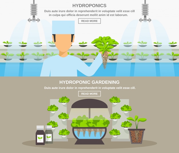 Kostenloser Vektor hydroponic design banner