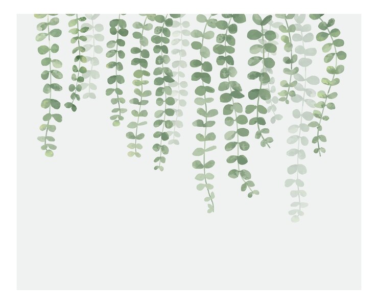 Kostenlose Vektor illustration der hängepflanze lokalisiert auf weißem hintergrund