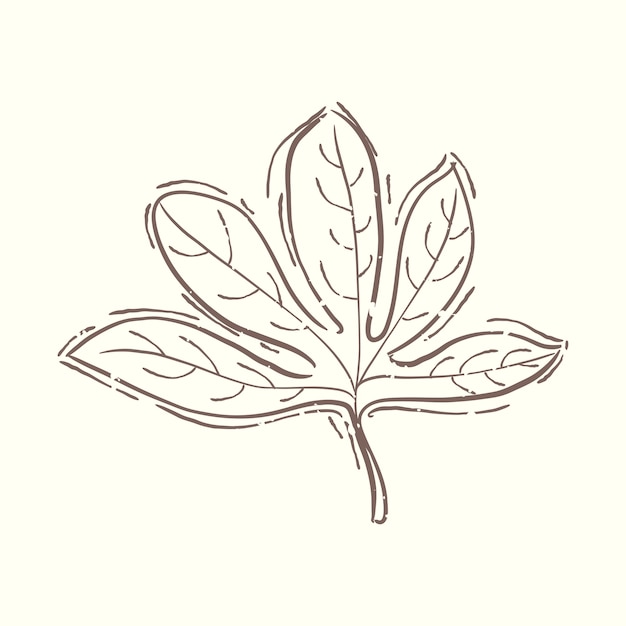 Illustration der pflanze