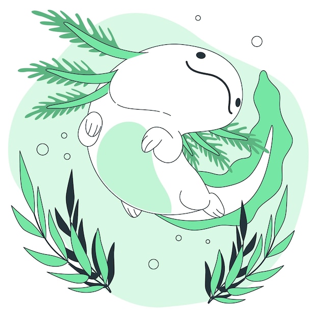 Illustration des axolotl-konzepts