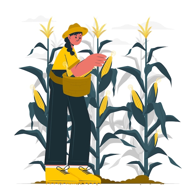 Kostenloser Vektor illustration des maisbauernkonzepts