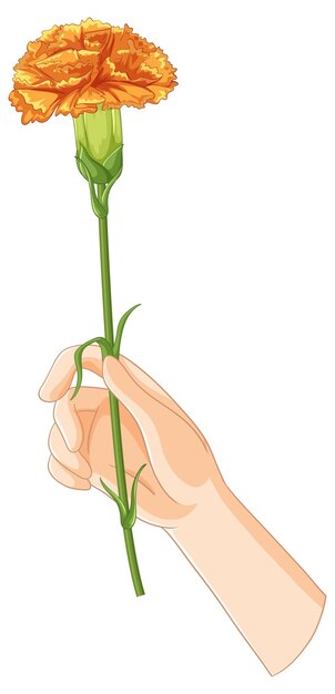 Illustration einer Hand, die eine orangefarbene Nelke hält