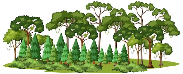 Illustration einer üppigen Waldlandschaft