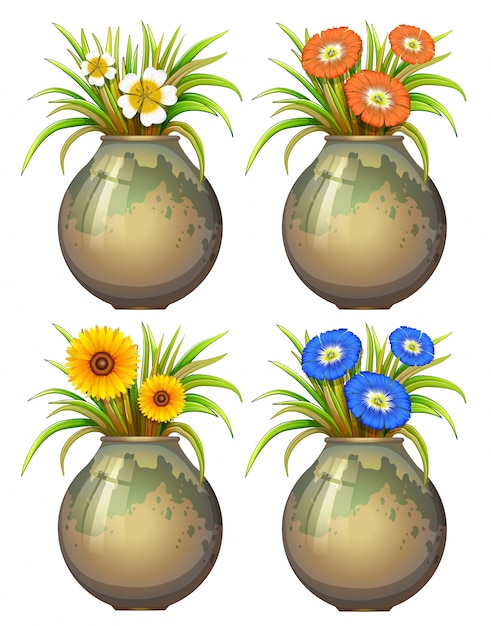 Illustration von vier topfpflanzen und blumen