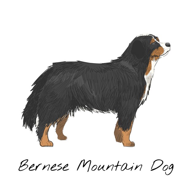 Illustrationszeichnungsart des Hundes