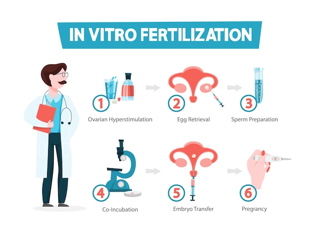 In-vitro-fertilisationskonzept. idee der unfruchtbarkeit