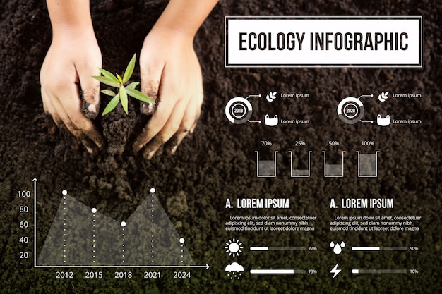 Infografik des ökologiedesigns mit foto