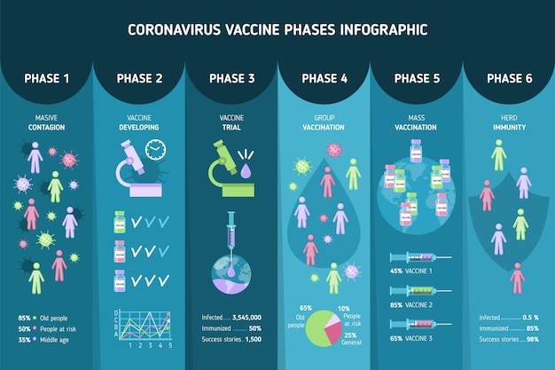 Infografik mit flachen coronavirus-impfphasen