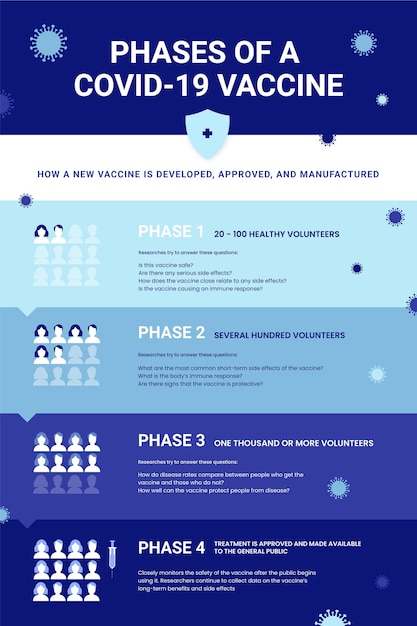 Kostenloser Vektor infografik mit flachen coronavirus-impfphasen