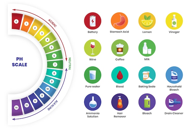 Kostenloser Vektor infografik mit gradienten-ph-skala