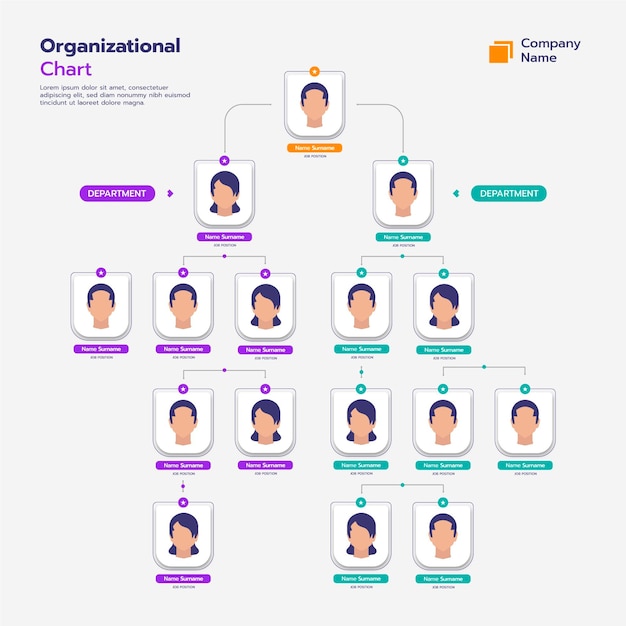 Kostenloser Vektor infografik zum flachen organigramm