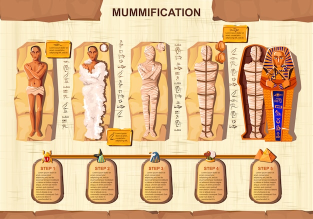 Kostenloser Vektor infographic illustration des mamakreationskarikatur-vektors.